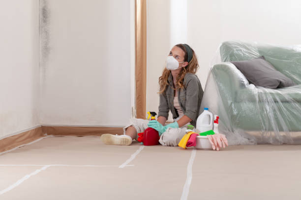Reliable Basement Mold Removal contractor in Surprise, AZ by WQB Mold Removal